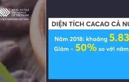 Giá ca cao kỳ hạn tăng