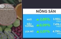 Thị trường nông sản tăng điểm mạnh