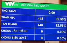 Quốc hội biểu quyết thông qua Luật sửa đổi, bổ sung một số điều của Luật Kinh doanh bảo hiểm và Luật Sở hữu trí tuệ