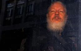 Anh ký quyết định dẫn độ nhà sáng lập Wikileaks sang Mỹ