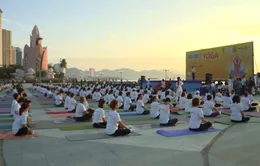 Hơn 500 người tham gia luyện tập, biểu diễn yoga ở Nha Trang