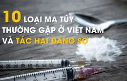 [Infographic] 10 loại ma túy thường gặp ở Việt Nam và tác hại đáng sợ