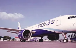 IndiGo sẽ mở đường bay thẳng Kolkata - Hà Nội