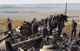 3 người Nga, 1 người Ukraine bị truy nã quốc tế vì cáo buộc bắn rơi MH17