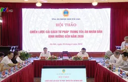 Hội thảo “Chiến lược cải cách tư pháp trong Tòa án nhân dân đến năm 2030”