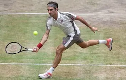 Vượt qua Herbert, Federer hẹn Goffin tại chung kết Halle mở rộng 2019