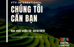 Cơ hội việc làm tại VTV4 cho sinh viên mới tốt nghiệp