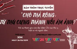 Bàn tròn trực tuyến: Chó thả rông - Từ thú cưng thành nỗi ám ảnh?