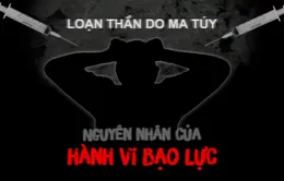 Loạn thần do ma túy – Nguyên nhân của hành vi bạo lực