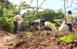 Xây dựng kỹ năng sống cho trẻ vào dịp Hè