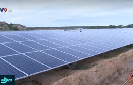 Ninh Thuận: Nhà máy điện mặt trời Bàu Ngứ hòa lưới điện quốc gia