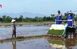 HTX nông nghiệp độc quyền "bóp nghẹt" sự phát triển của xã viên