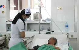 Suýt mất mạng vì ngộ độc cá nóc mít