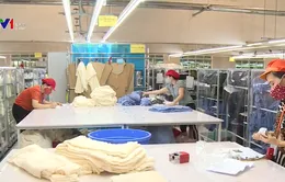 Ngăn hàng nhập khẩu Trung Quốc "đội lốt" hàng Việt Nam