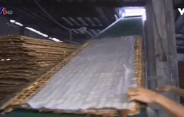 Ghé thăm làng nghề sản xuất hủ tiếu Mỹ Tho