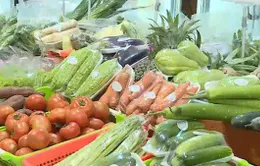 Giá rau Đà Lạt tăng gần gấp đôi