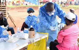 WHO: 25% số ca nhiễm Ebola không được phát hiện tại Congo