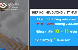 Giá đường kỳ hạn tháng 10/2019 tăng 1,21%