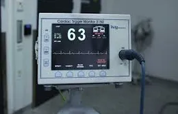 Suýt bị thiêu sống do bệnh viện chứng tử nhầm