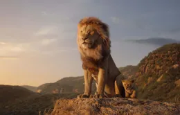Sau suất chiếu đầu tiên, “The Lion King” được xướng danh “tuyệt tác điện ảnh 2019”