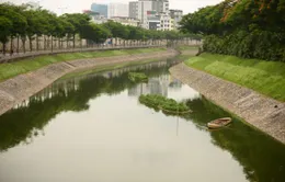 Chuyên gia Nhật Bản lo ngại nước từ Hồ Tây ảnh hưởng đến quá trình cải tạo sông Tô Lịch