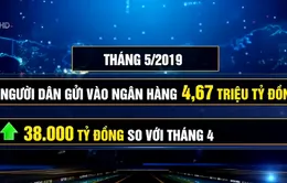 Tiền gửi của các tổ chức kinh tế vào hệ thống ngân hàng bất ngờ tăng trở lại