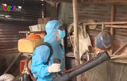 Nguy cơ bùng phát bệnh sốt xuất huyết từ các bãi phế liệu