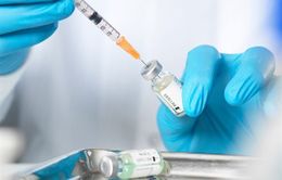 Bước đầu thành công trong nghiên cứu vaccine phòng chống dịch tả lợn châu Phi