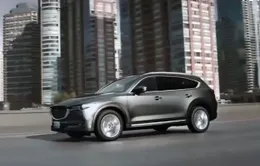 Phân khúc xe SUV nóng trở lại