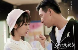 "Cá mực hầm mật" của Dương Tử vượt mặt phim của Trịnh Sảng trên BXH rating