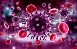 Hy vọng mới về ngăn ngừa HIV/AIDS