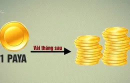 Cảnh báo đầu tư tiền ảo Paya cho thu nhập "khủng"