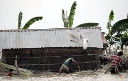 Mưa lũ nghiêm trọng tại Bangladesh