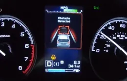 Công nghệ lái xe an toàn khiến ngành bảo hiểm lúng túng