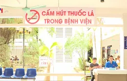 Cơ quan không khói thuốc lá: Cần sự gương mẫu từ người lãnh đạo