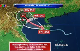 Không chủ quan với bão số 2