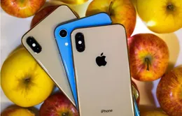 Lãnh án hơn 3 năm tù vì bán hàng chục nghìn chiếc iPhone giả