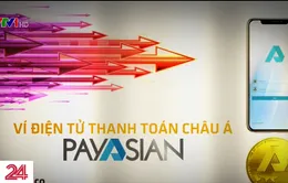 Payasian: Vỏ bọc ví điện tử, hoạt động chưa được cấp phép, không thanh toán được hàng hóa