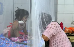 Honduras ban bố tình trạng khẩn cấp quốc gia do dịch sốt xuất huyết