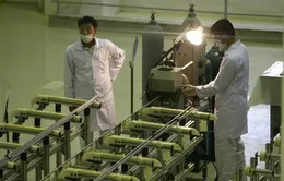 Iran làm giàu urani đẩy căng thẳng với Mỹ lên cao