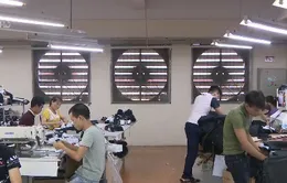 Thách thức tiêu chuẩn lao động sau EVFTA