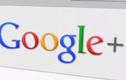 Lý do Google bị đình chỉ 1 dịch vụ ở New Zealand