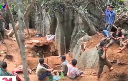 Người dân Yên Bái đổ xô lên rừng đào đá quý