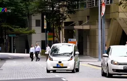 Singapore gia tăng hình phạt đối với lái xe vi phạm luật giao thông