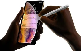 iPhone 2019 hỗ trợ bút cảm ứng Apple Pencil: Steve Jobs đã sai?