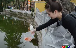 Lý giải nghi thức phóng sinh vào Rằm tháng 7 Âm lịch