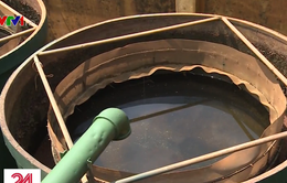 Hàng nghìn hộ dân Thạch Thất dùng nước bẩn từ nhà máy nước sạch