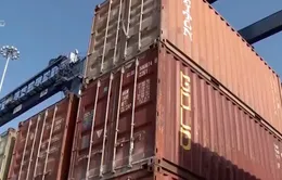 Hàng trăm container phế liệu đã được vận chuyển ra khỏi Việt Nam