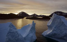 Rộ tin Mỹ lên kế hoạch mua đảo Greenland