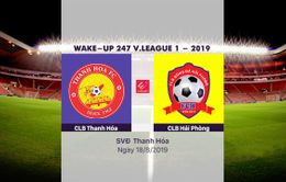 VIDEO Highlights: CLB Thanh Hoá 0–3 CLB Hải Phòng (Vòng 21 Wake-up V.League 1-2019)